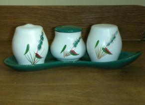 Denby Greenwheat  Cruet Set