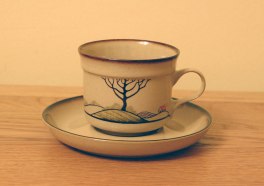 Denby Savoy  Tea Cup and Saucer