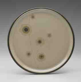 Denby Smokestone