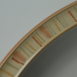 Denby Caramel Stripes