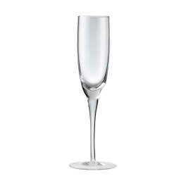 Denby China Glass  Champagne Flutes (pack of 2)