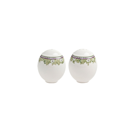 Denby Monsoon Daisy Green  Salt and Pepper in Gift Box