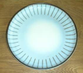 Denby Studio  Dinner Plate